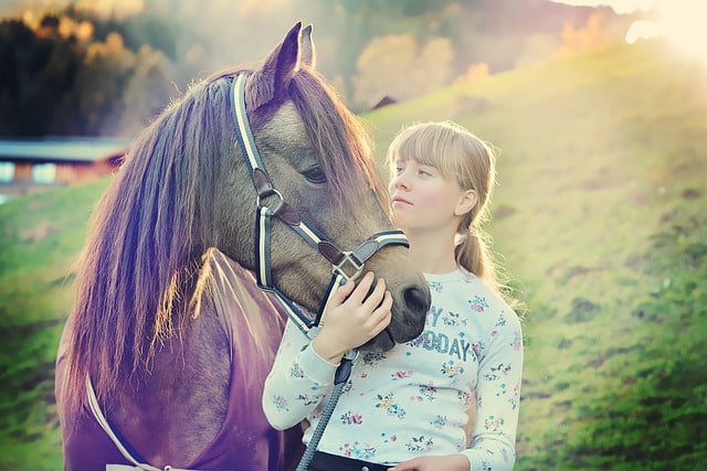 colonies vacances equitation